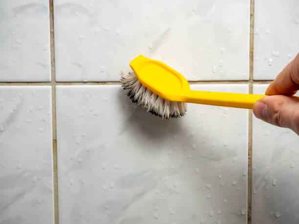 Best Black Mold Removal  in Hydesville, CA