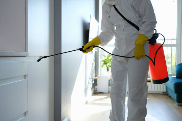 Best Toxic Mold Removal  in Hydesville, CA