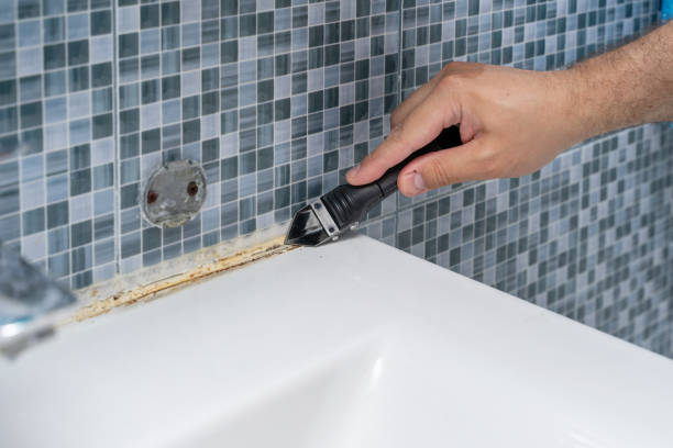 Best Home Mold Removal  in Hydesville, CA